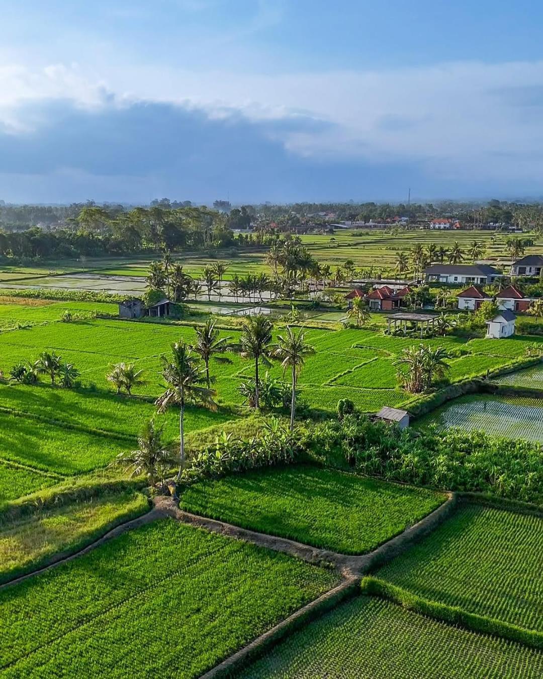 Ikada Villa By Pramana Villas Ubud Esterno foto