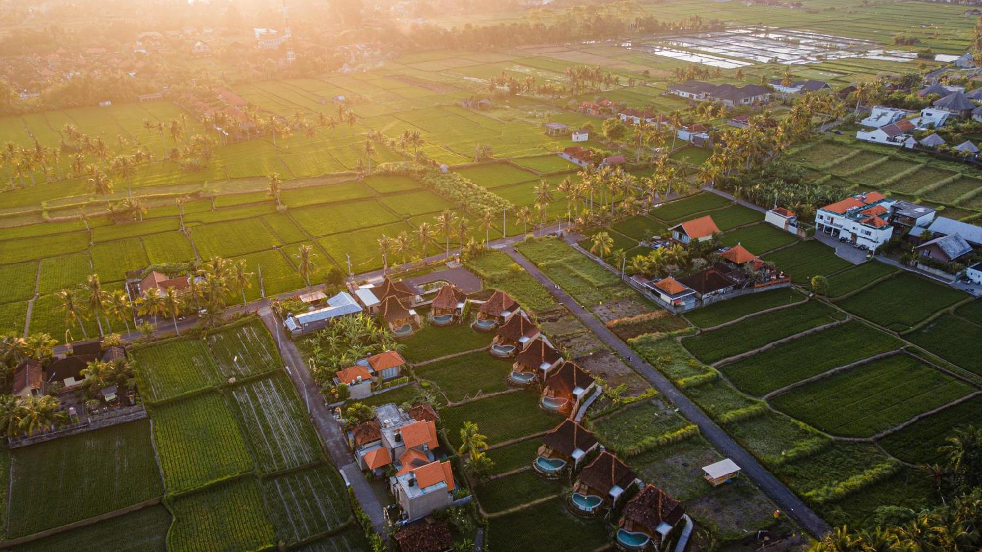 Ikada Villa By Pramana Villas Ubud Esterno foto